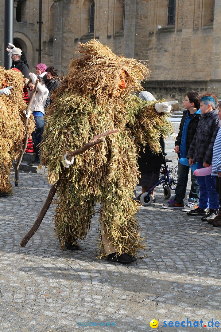 Fasnet - Kinderumzug: Singen am Bodensee, 09.02.2013