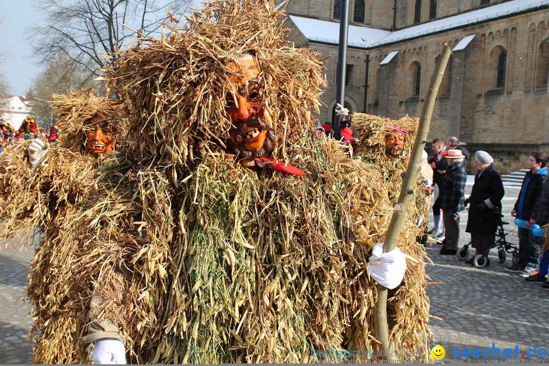 Fasnet - Kinderumzug: Singen am Bodensee, 09.02.2013