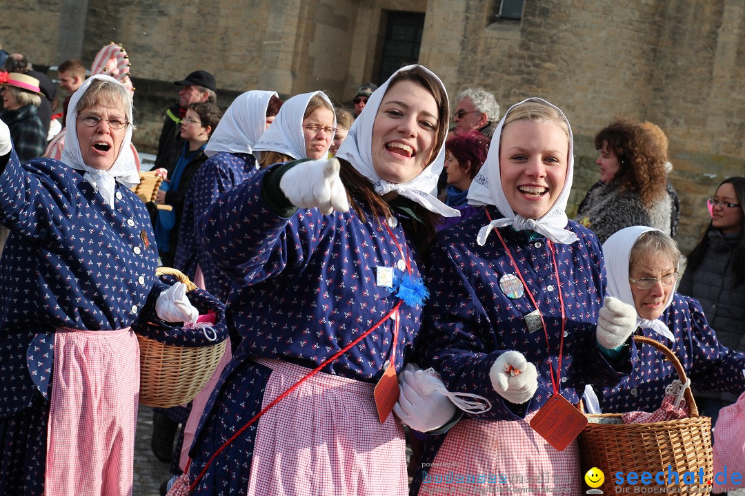 Fasnet - Kinderumzug: Singen am Bodensee, 09.02.2013