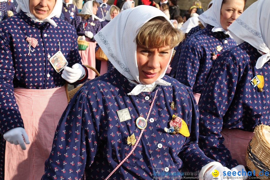 Fasnet - Kinderumzug: Singen am Bodensee, 09.02.2013