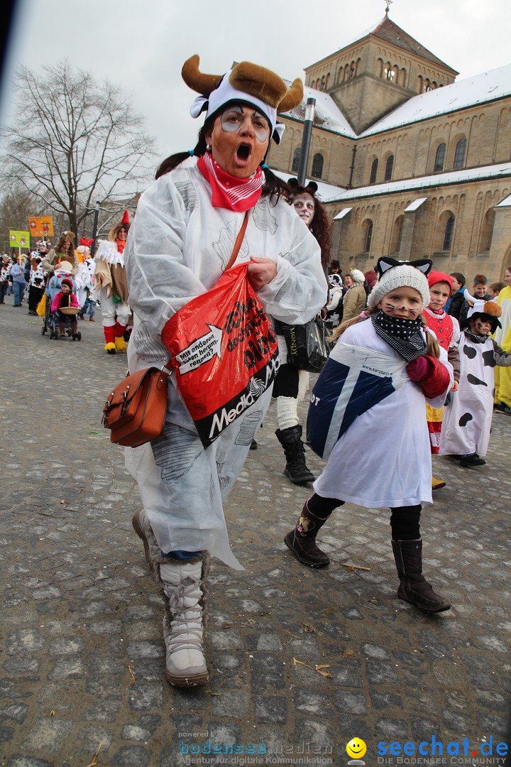 Fasnet - Kinderumzug: Singen am Bodensee, 09.02.2013