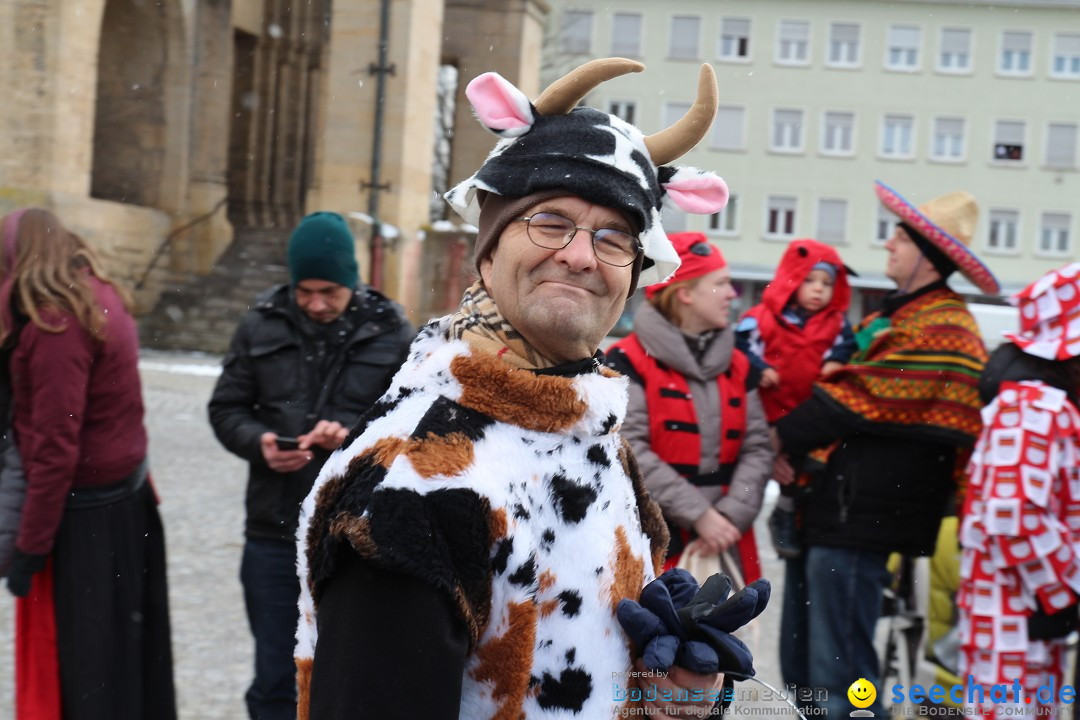 Fasnet - Kinderumzug: Singen am Bodensee, 09.02.2013