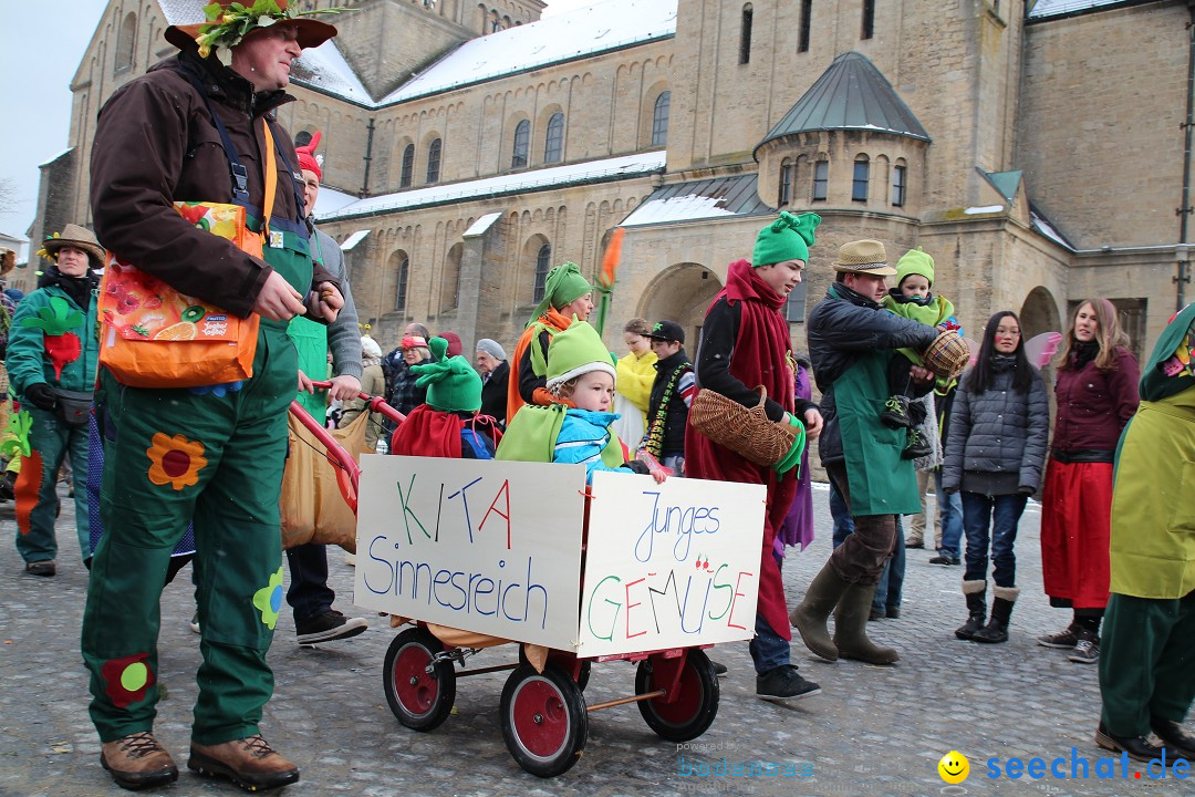 Fasnet - Kinderumzug: Singen am Bodensee, 09.02.2013