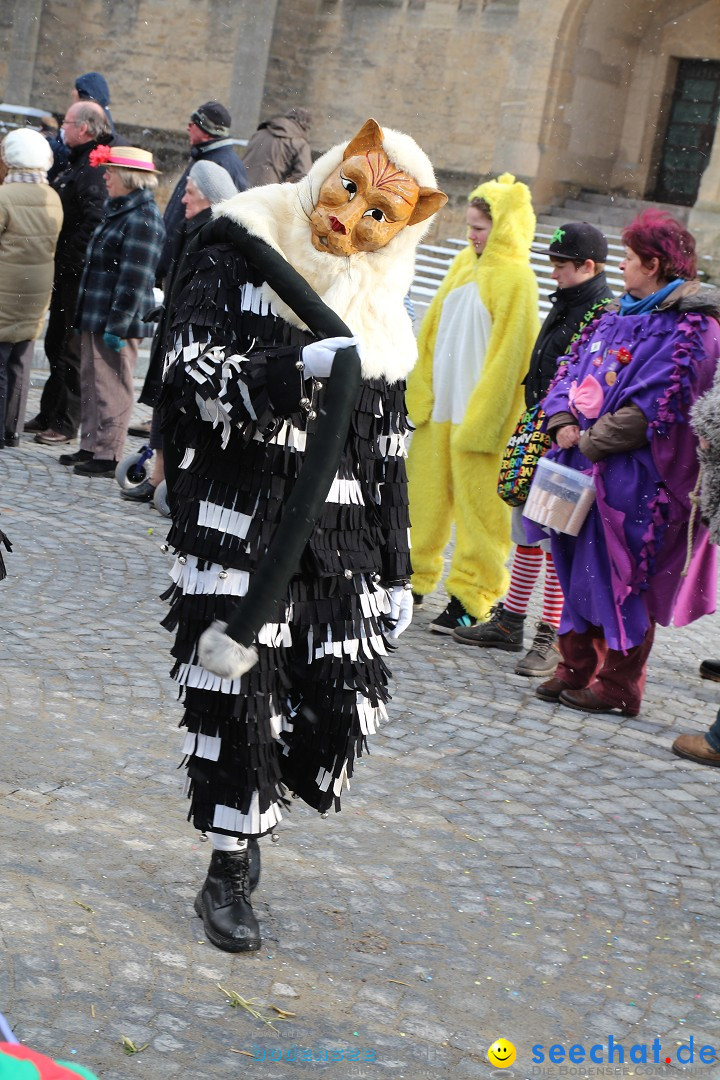 Fasnet - Kinderumzug: Singen am Bodensee, 09.02.2013