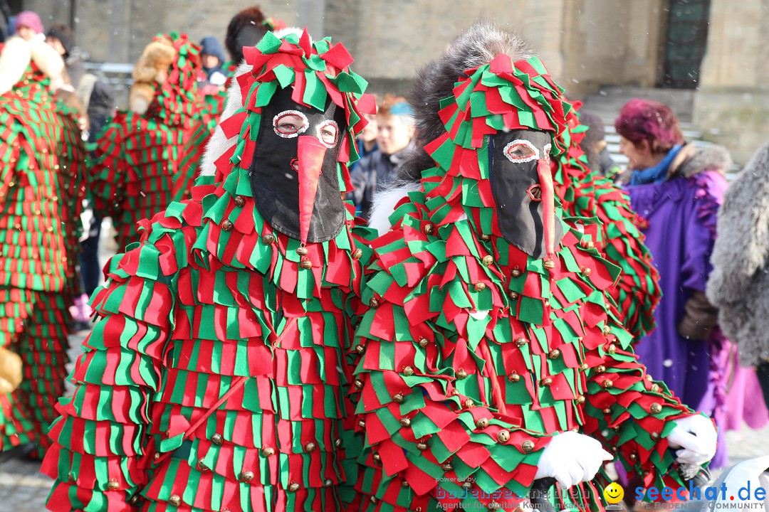 Fasnet - Kinderumzug: Singen am Bodensee, 09.02.2013