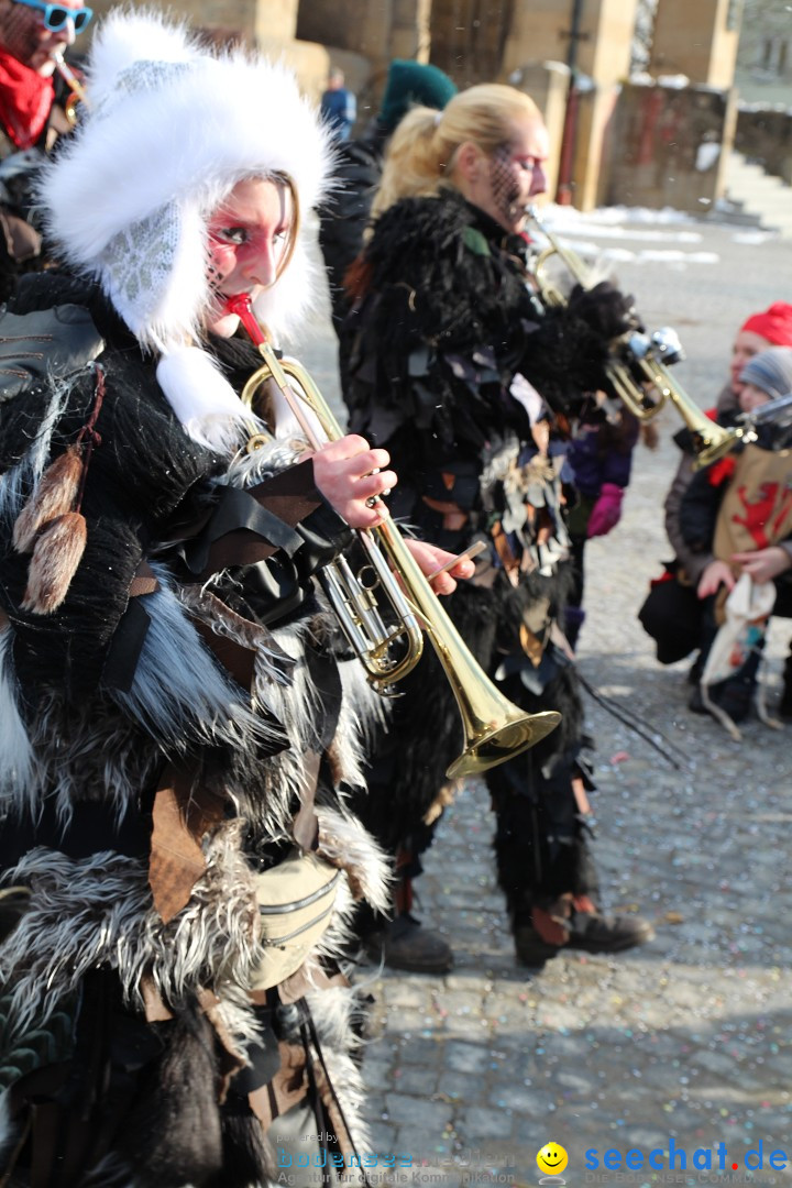 Fasnet - Kinderumzug: Singen am Bodensee, 09.02.2013