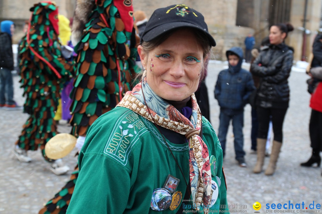 Fasnet - Kinderumzug: Singen am Bodensee, 09.02.2013