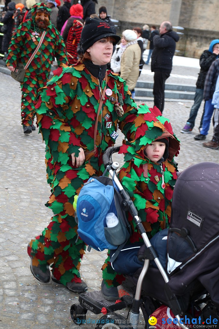 Fasnet - Kinderumzug: Singen am Bodensee, 09.02.2013