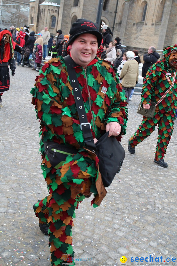 Fasnet - Kinderumzug: Singen am Bodensee, 09.02.2013