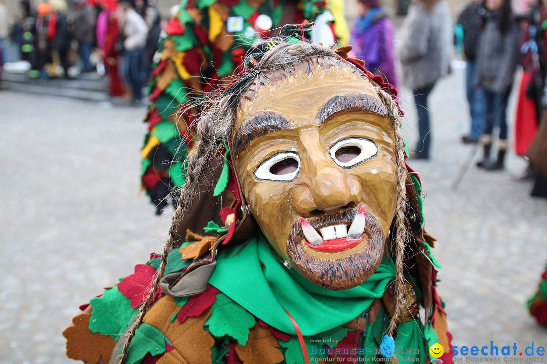 Fasnet - Kinderumzug: Singen am Bodensee, 09.02.2013