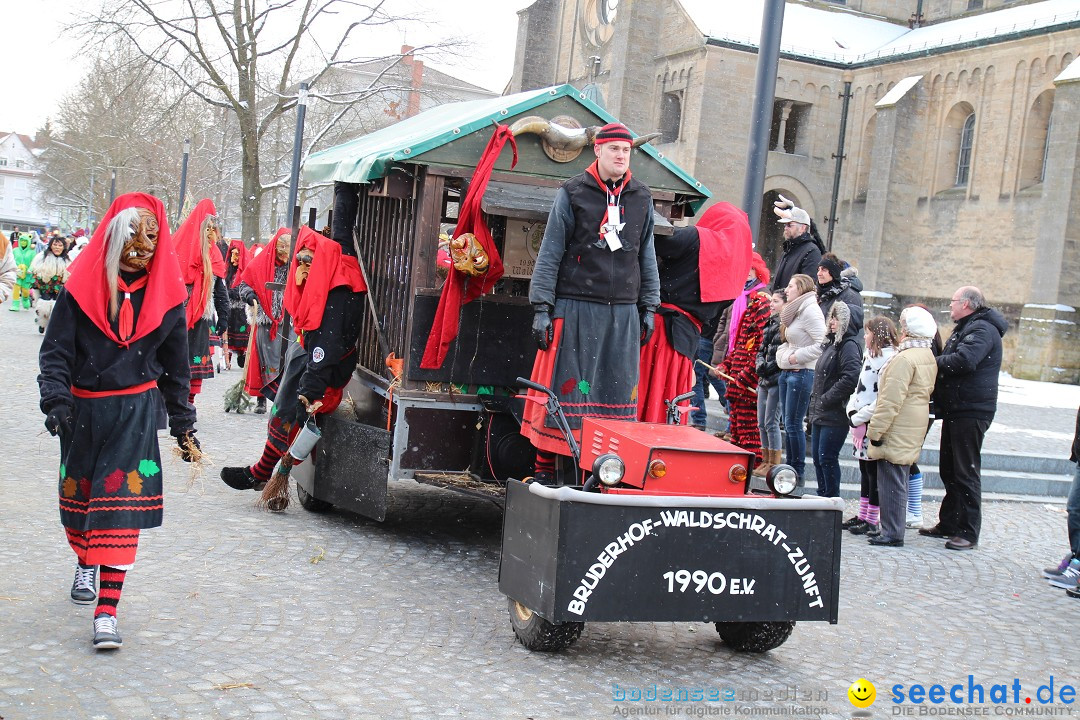 Fasnet - Kinderumzug: Singen am Bodensee, 09.02.2013