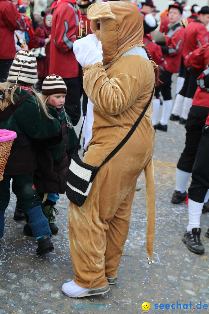 Fasnet - Kinderumzug: Singen am Bodensee, 09.02.2013