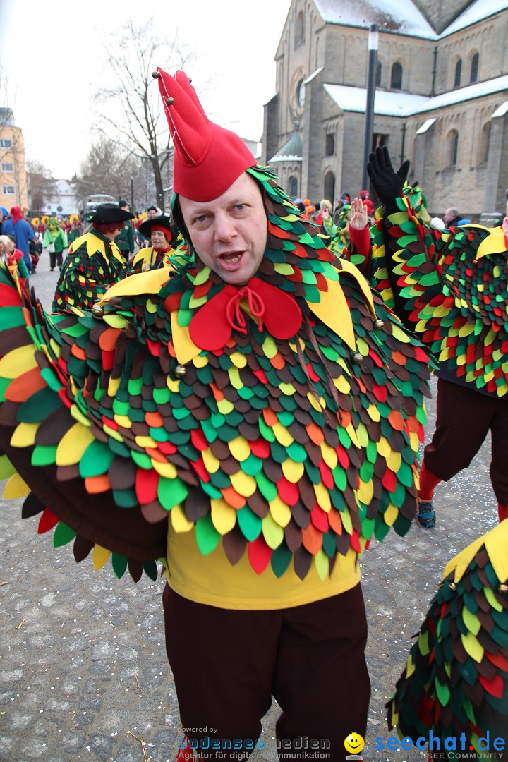 Fasnet - Kinderumzug: Singen am Bodensee, 09.02.2013