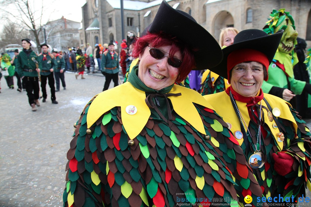 Fasnet - Kinderumzug: Singen am Bodensee, 09.02.2013