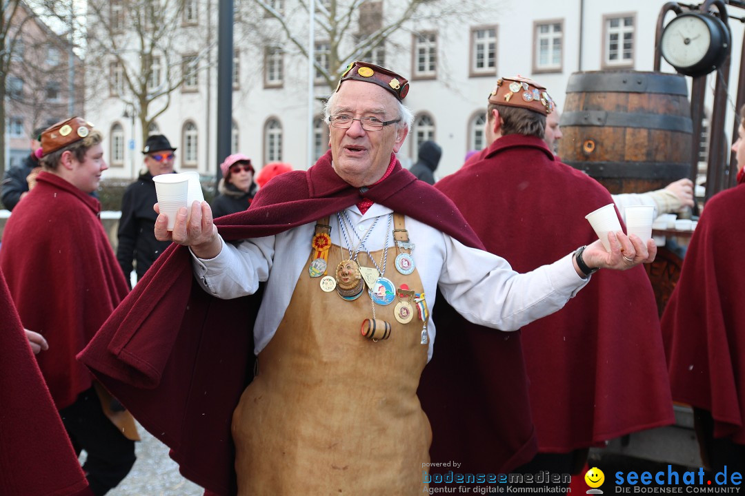 Fasnet - Kinderumzug: Singen am Bodensee, 09.02.2013