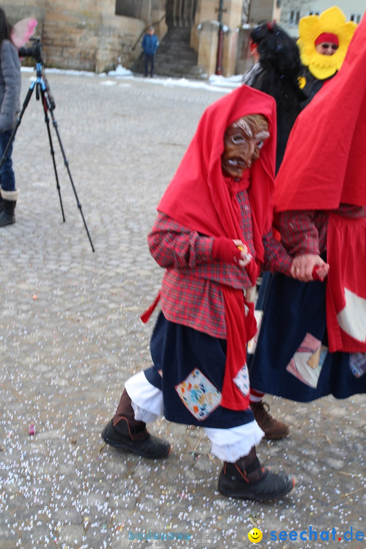 Fasnet - Kinderumzug: Singen am Bodensee, 09.02.2013