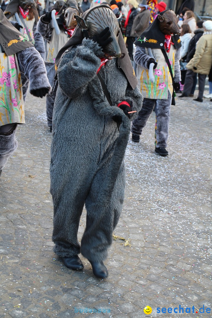 Fasnet - Kinderumzug: Singen am Bodensee, 09.02.2013