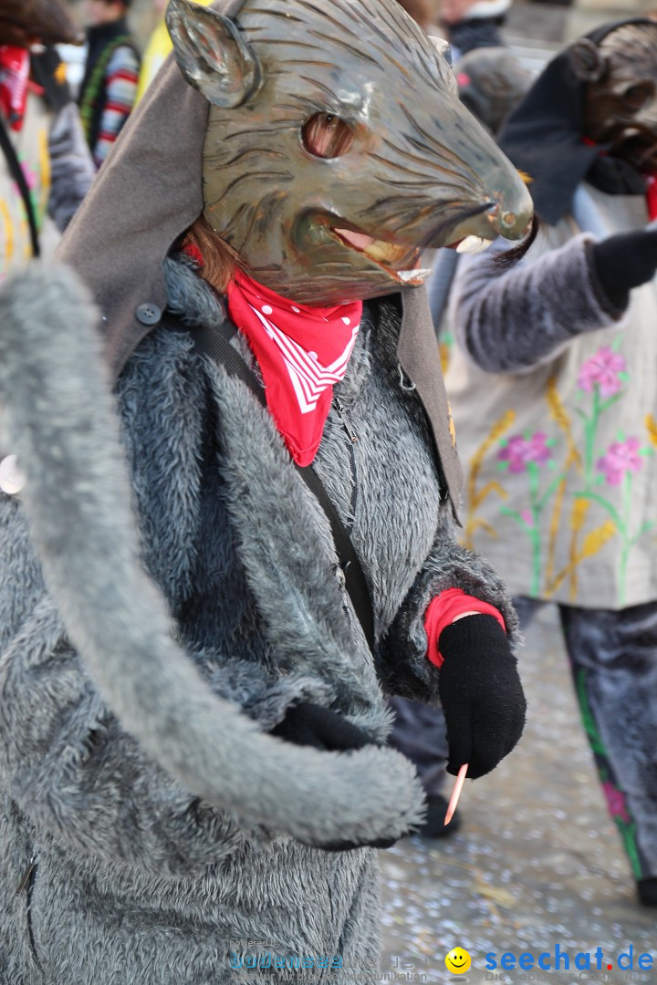 Fasnet - Kinderumzug: Singen am Bodensee, 09.02.2013