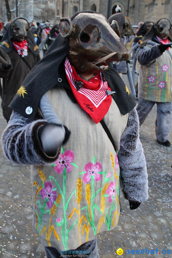 Fasnet - Kinderumzug: Singen am Bodensee, 09.02.2013