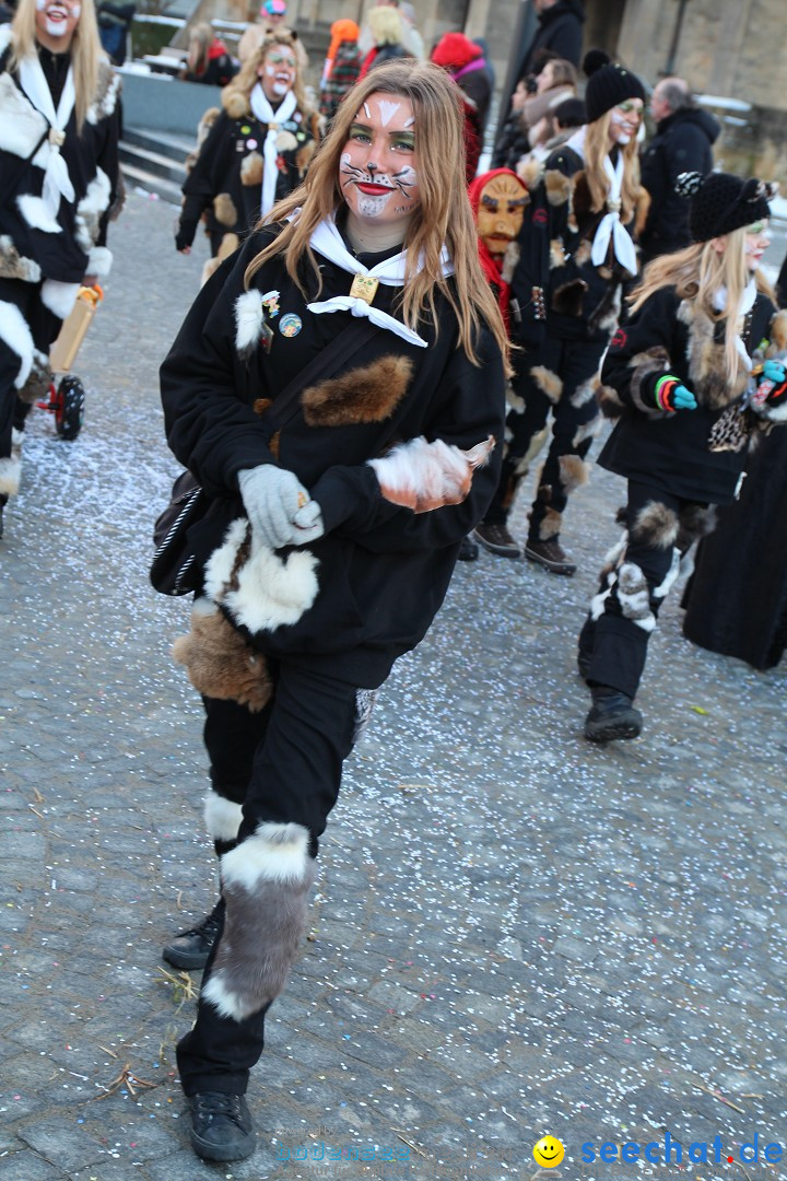 Fasnet - Kinderumzug: Singen am Bodensee, 09.02.2013