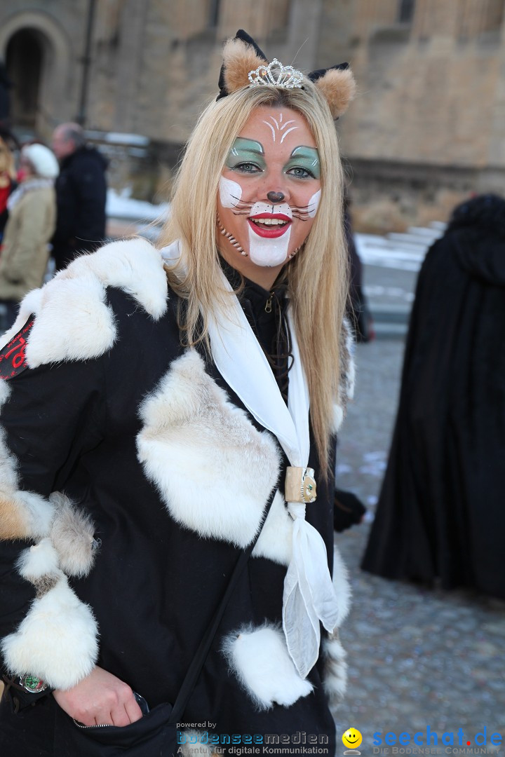 Fasnet - Kinderumzug: Singen am Bodensee, 09.02.2013