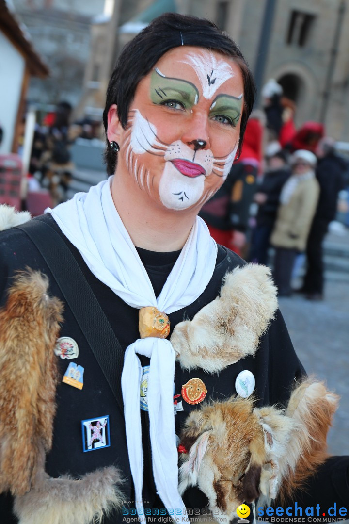 Fasnet - Kinderumzug: Singen am Bodensee, 09.02.2013