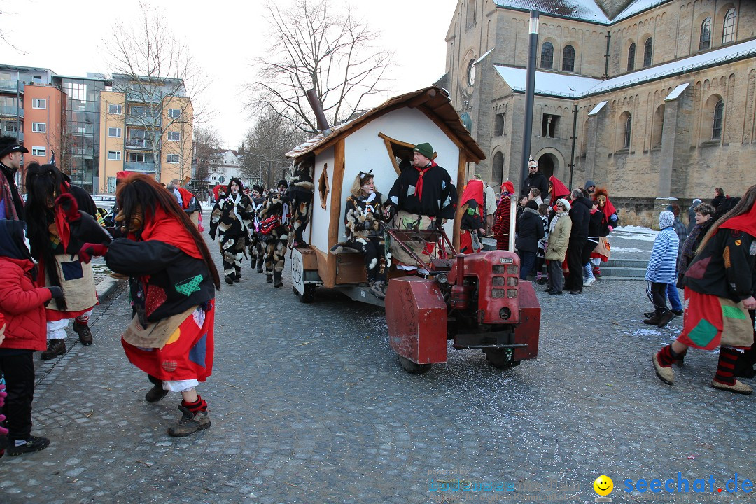 Fasnet - Kinderumzug: Singen am Bodensee, 09.02.2013