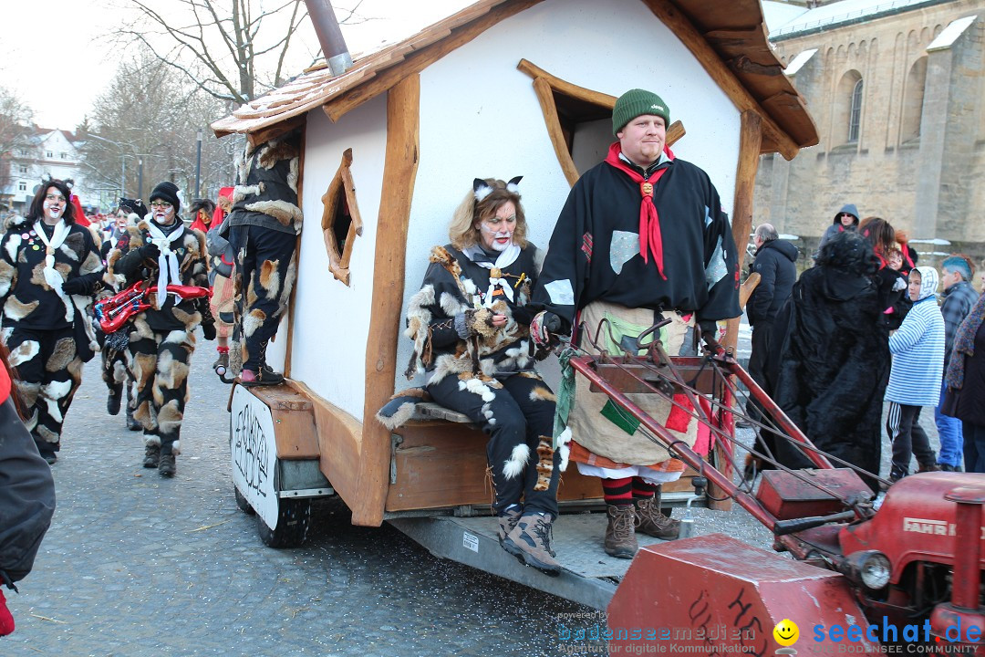 Fasnet - Kinderumzug: Singen am Bodensee, 09.02.2013