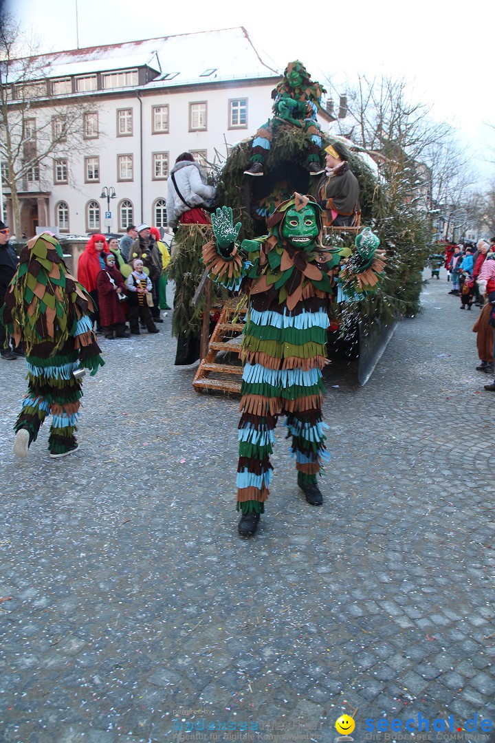 Fasnet - Kinderumzug: Singen am Bodensee, 09.02.2013