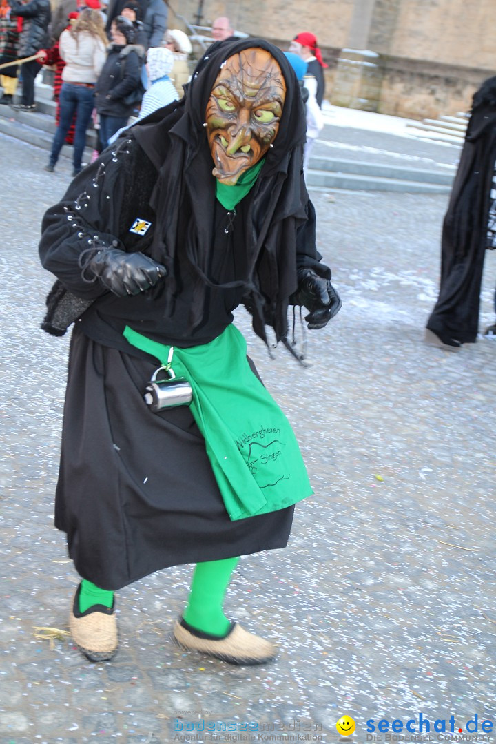 Fasnet - Kinderumzug: Singen am Bodensee, 09.02.2013