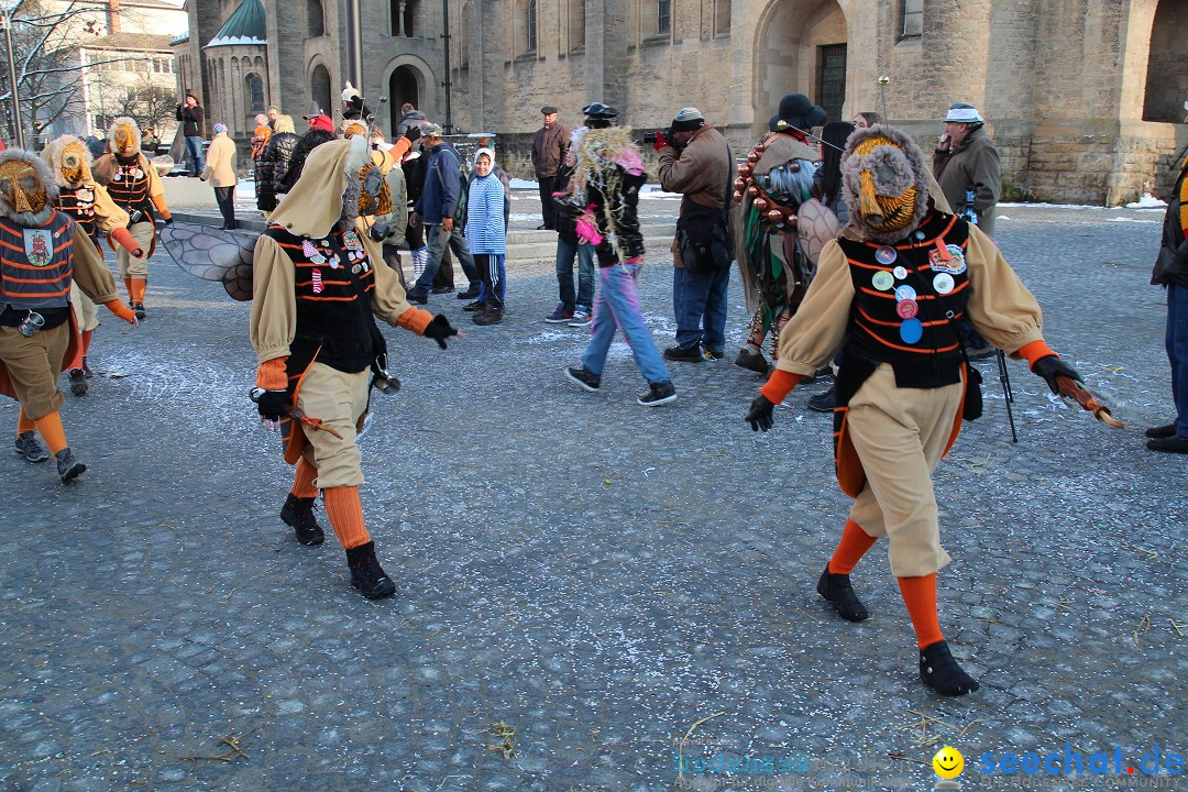 Fasnet - Kinderumzug: Singen am Bodensee, 09.02.2013