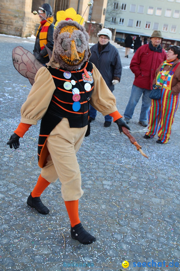 Fasnet - Kinderumzug: Singen am Bodensee, 09.02.2013