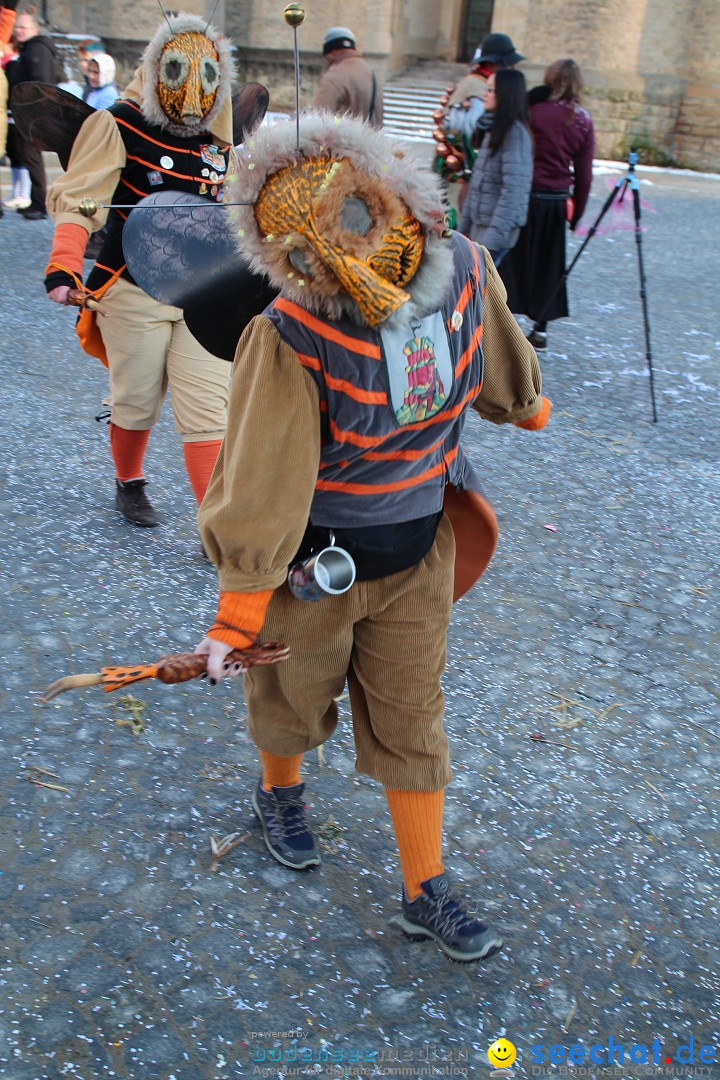 Fasnet - Kinderumzug: Singen am Bodensee, 09.02.2013