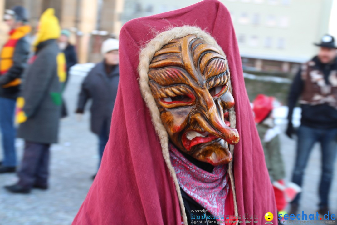 Fasnet - Kinderumzug: Singen am Bodensee, 09.02.2013