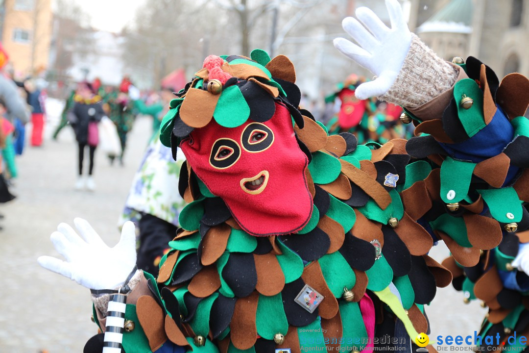 Fasnet - Kinderumzug: Singen am Bodensee, 09.02.2013