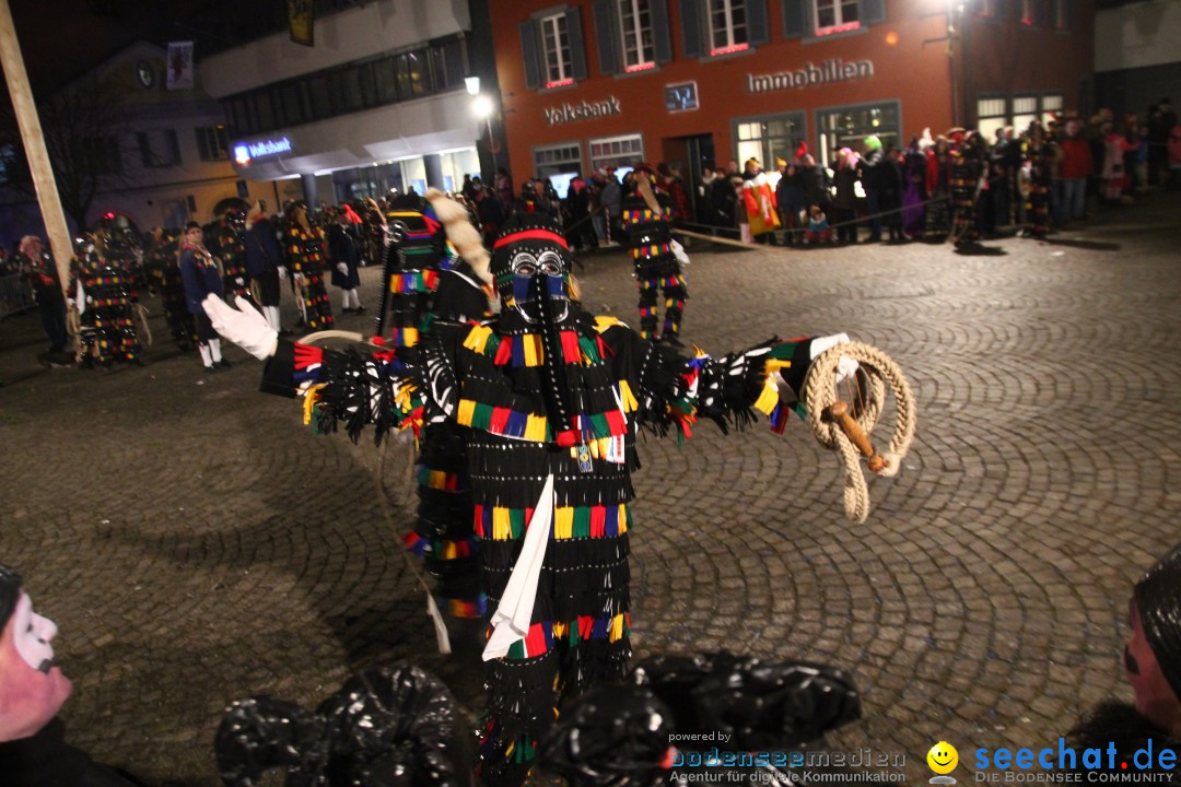 H_nselejuck-_berlingen-09022013-Bodensee-Community-SEECHAT_DE-IMG_7194.JPG