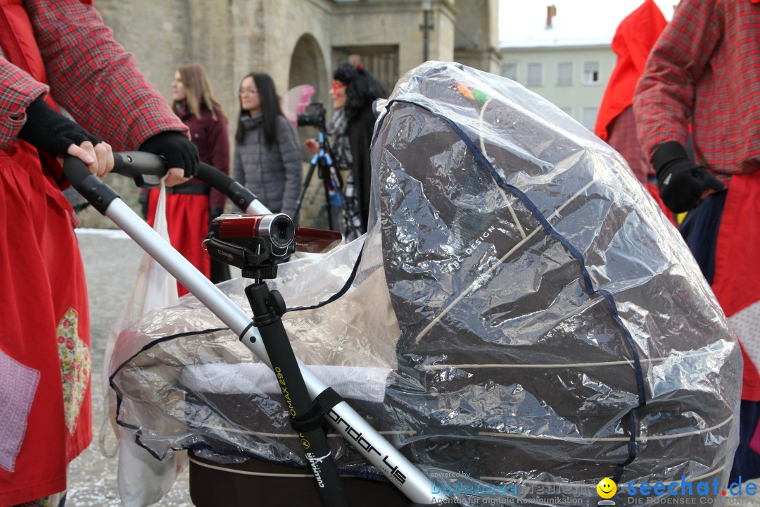 Fasnet - Kinderumzug: Singen am Bodensee, 09.02.2013