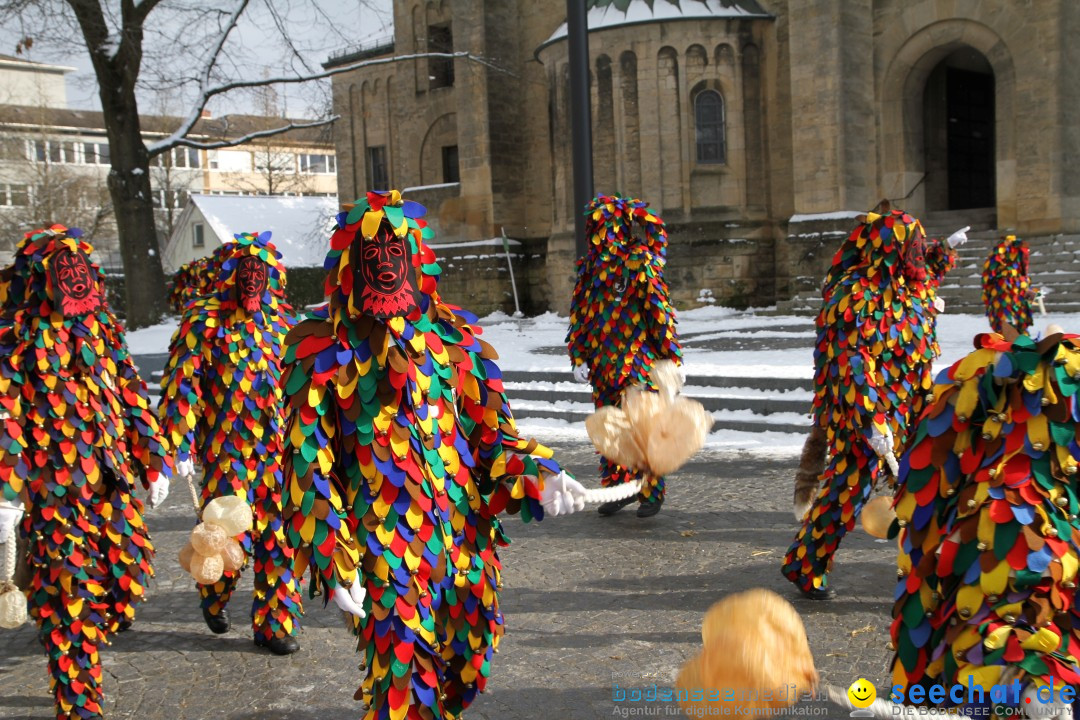 Fasnet - Kinderumzug: Singen am Bodensee, 09.02.2013