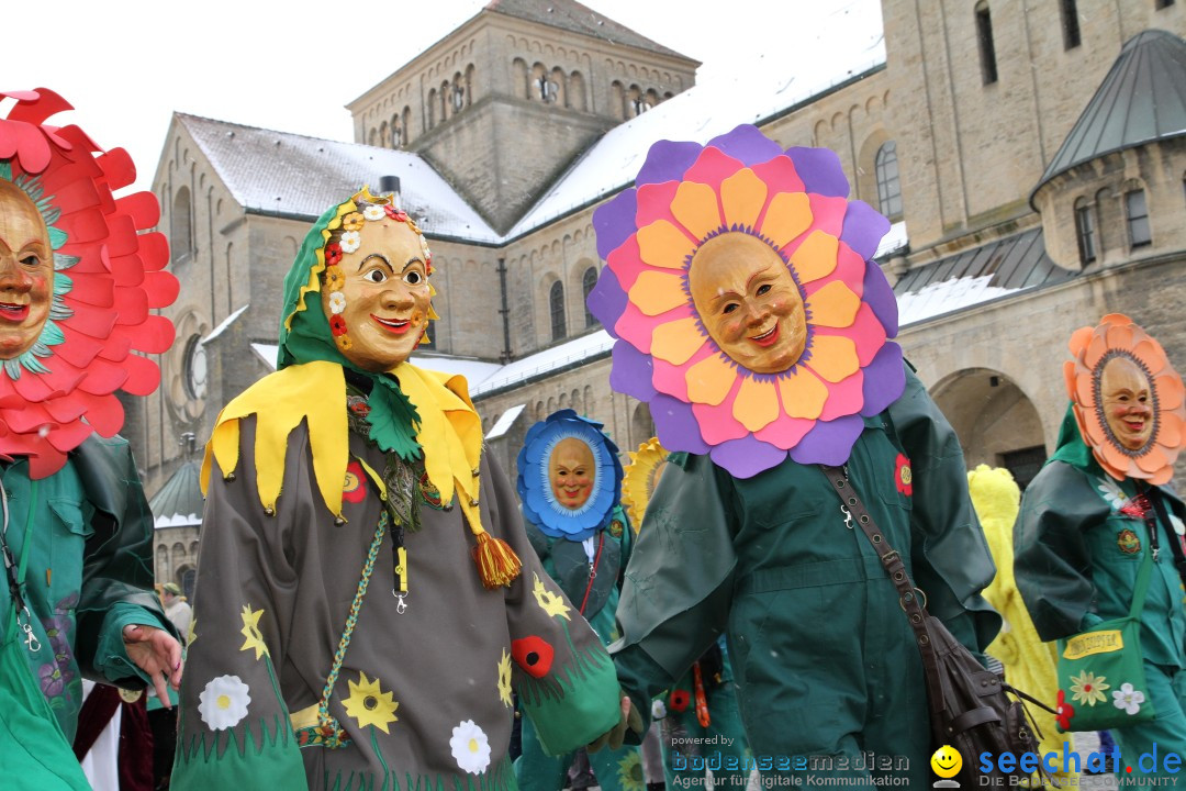 Fasnet - Kinderumzug: Singen am Bodensee, 09.02.2013