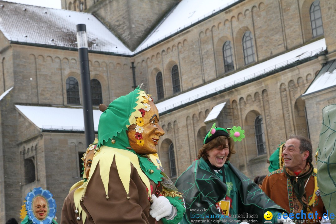 Fasnet - Kinderumzug: Singen am Bodensee, 09.02.2013