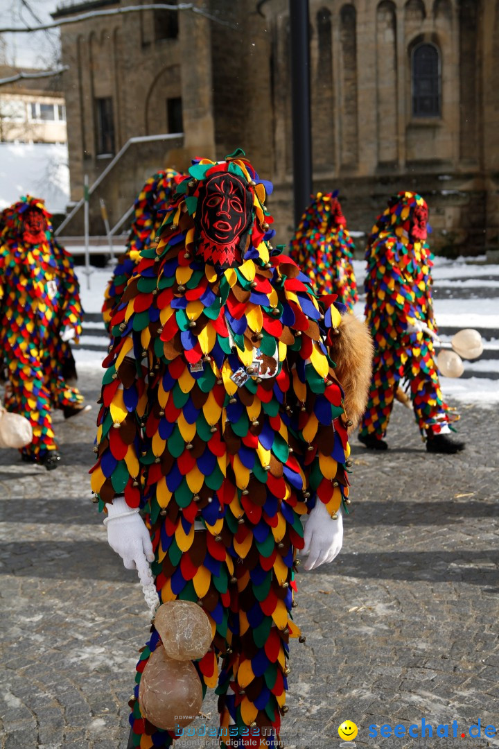 Fasnet - Kinderumzug: Singen am Bodensee, 09.02.2013