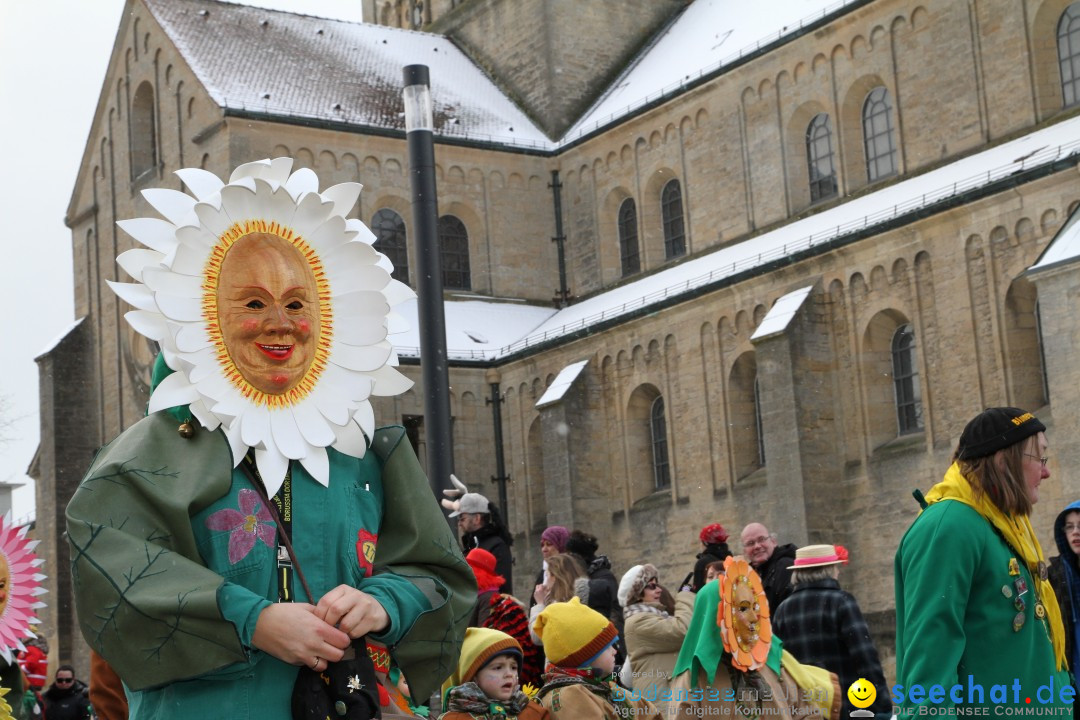 Fasnet - Kinderumzug: Singen am Bodensee, 09.02.2013