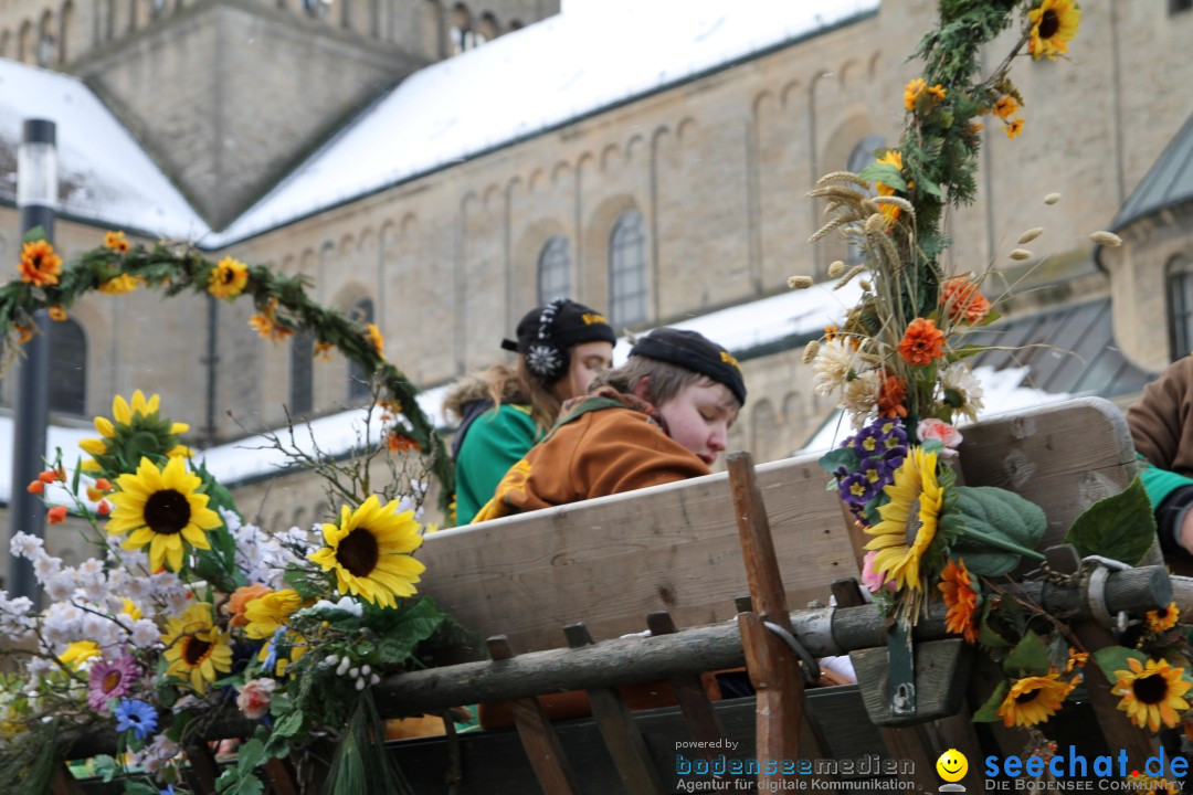 Fasnet - Kinderumzug: Singen am Bodensee, 09.02.2013