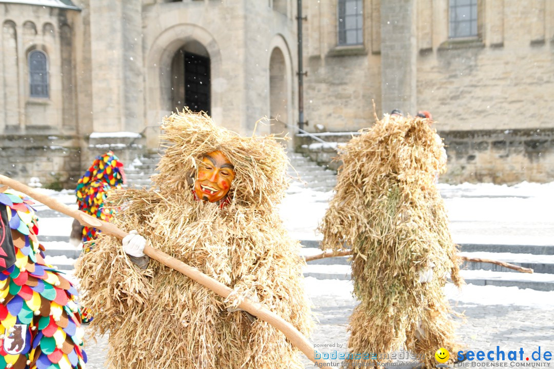 Fasnet - Kinderumzug: Singen am Bodensee, 09.02.2013