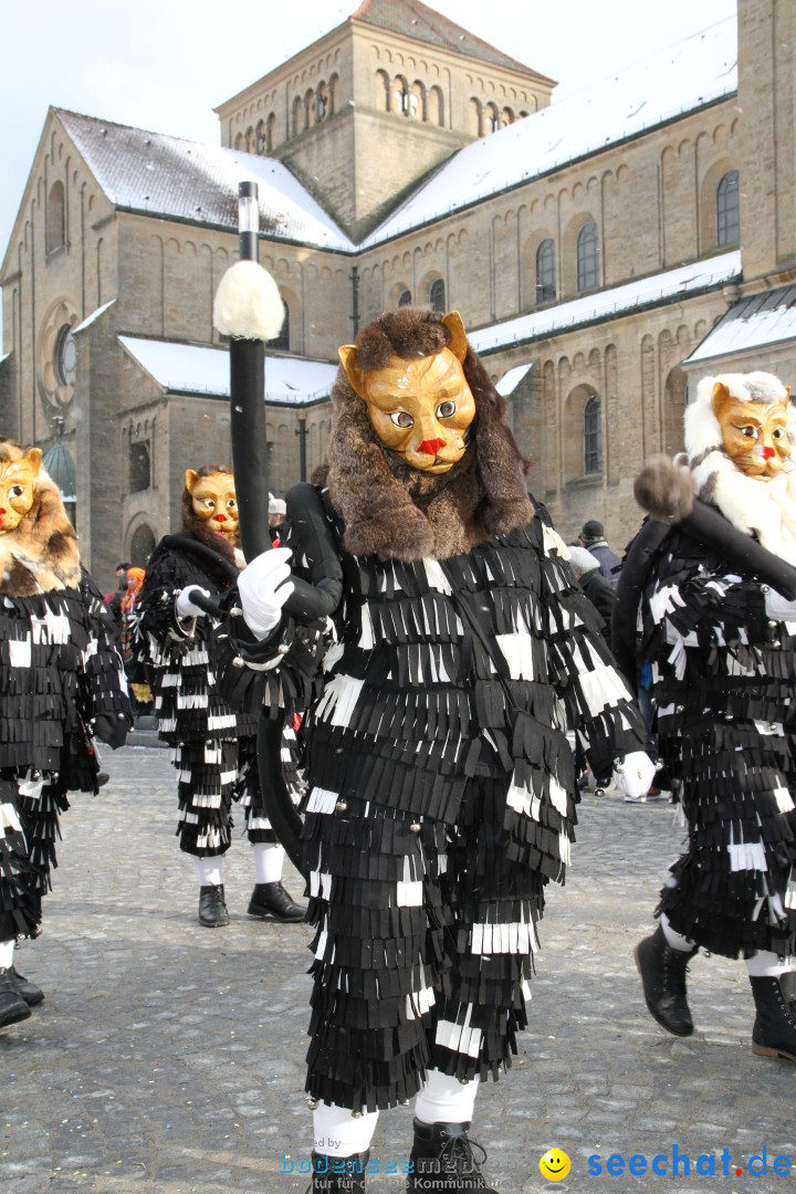 Fasnet - Kinderumzug: Singen am Bodensee, 09.02.2013