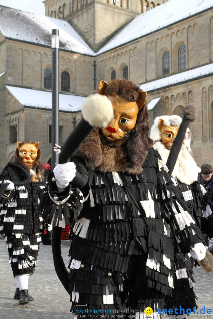 Fasnet - Kinderumzug: Singen am Bodensee, 09.02.2013