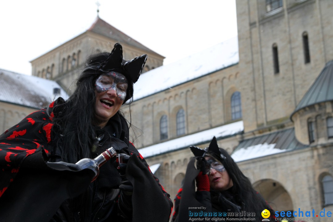 Fasnet - Kinderumzug: Singen am Bodensee, 09.02.2013