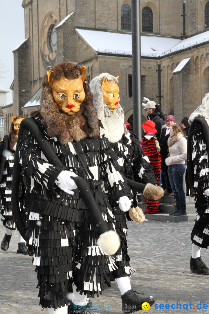 Fasnet - Kinderumzug: Singen am Bodensee, 09.02.2013