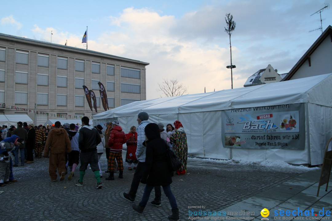 Fasnet - Kinderumzug: Singen am Bodensee, 09.02.2013