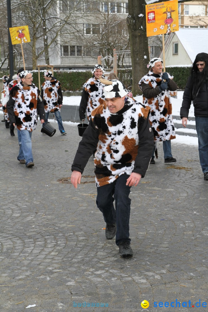 Fasnet - Kinderumzug: Singen am Bodensee, 09.02.2013